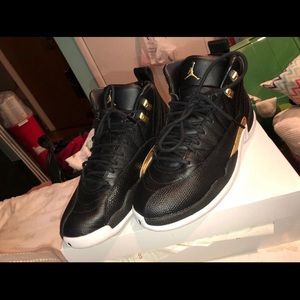 Air Jordan 12